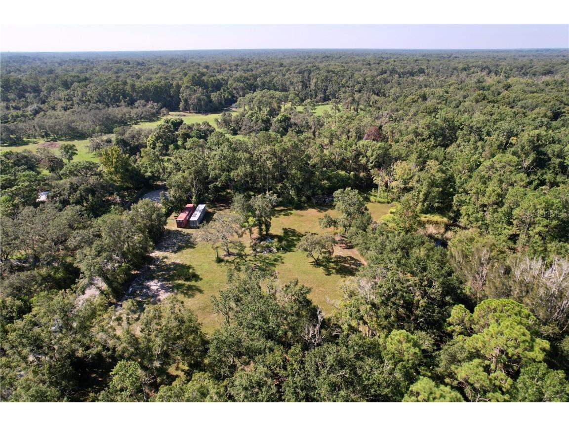 11025 Tracey Court New Port Richey FL 34654 TB8422729 image15