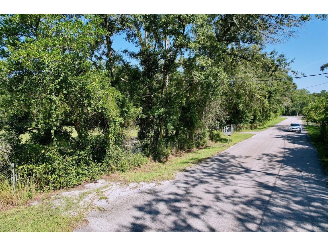 11025 Tracey Court New Port Richey FL 34654 TB8422729 image3