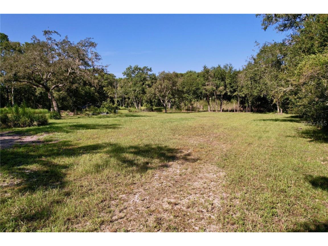 11025 Tracey Court New Port Richey FL 34654 TB8422729 image4