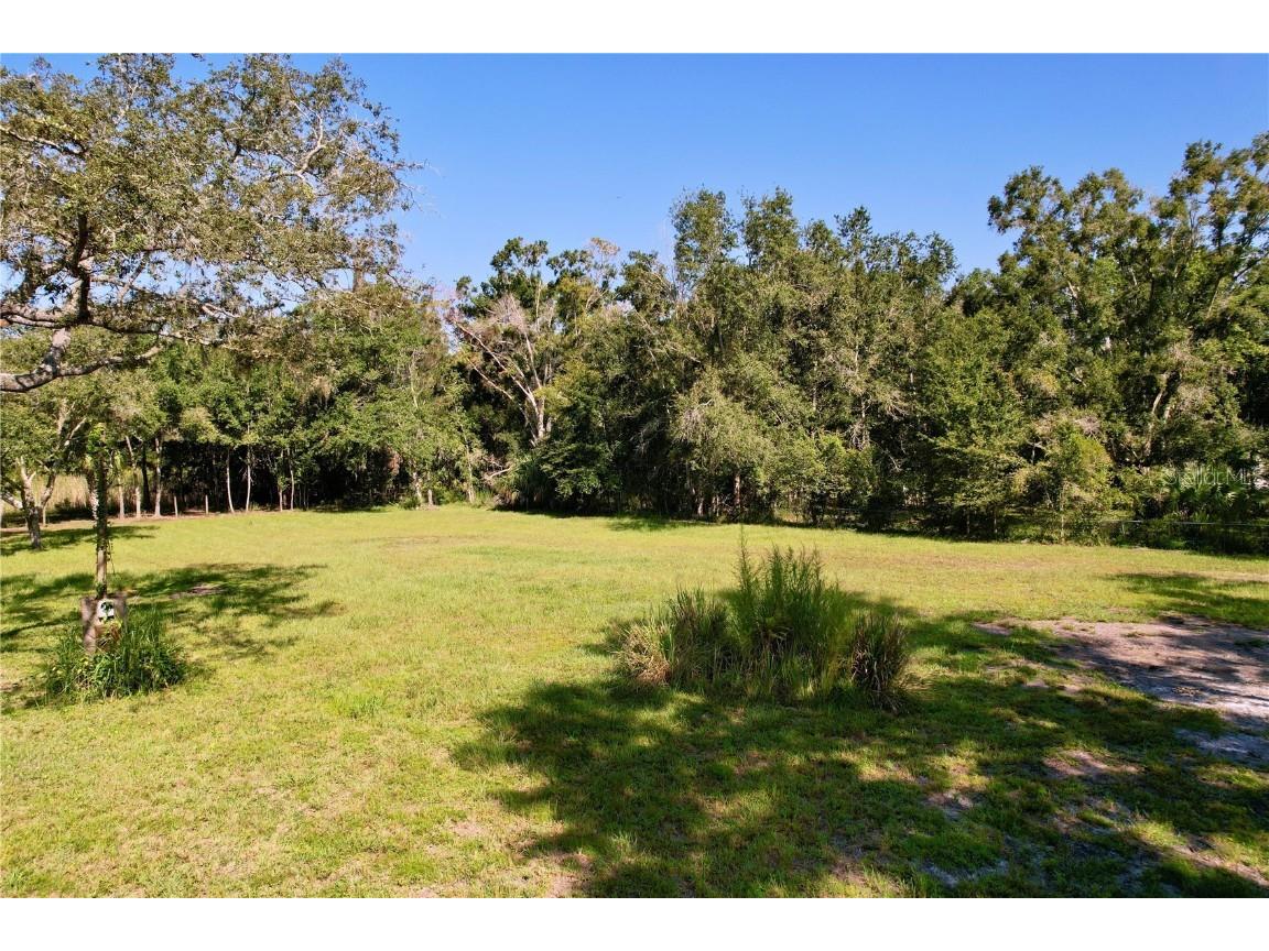 11025 Tracey Court New Port Richey FL 34654 TB8422729 image5