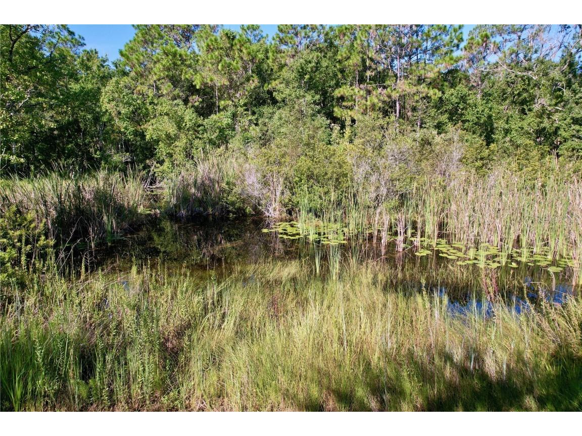 11025 Tracey Court New Port Richey FL 34654 TB8422729 image7