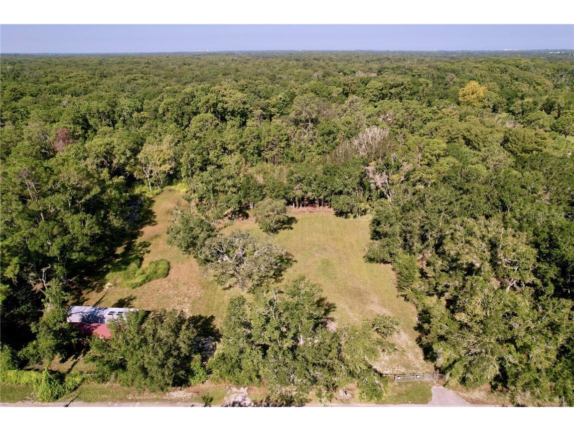 11025 Tracey Court New Port Richey FL 34654 TB8422729 image9