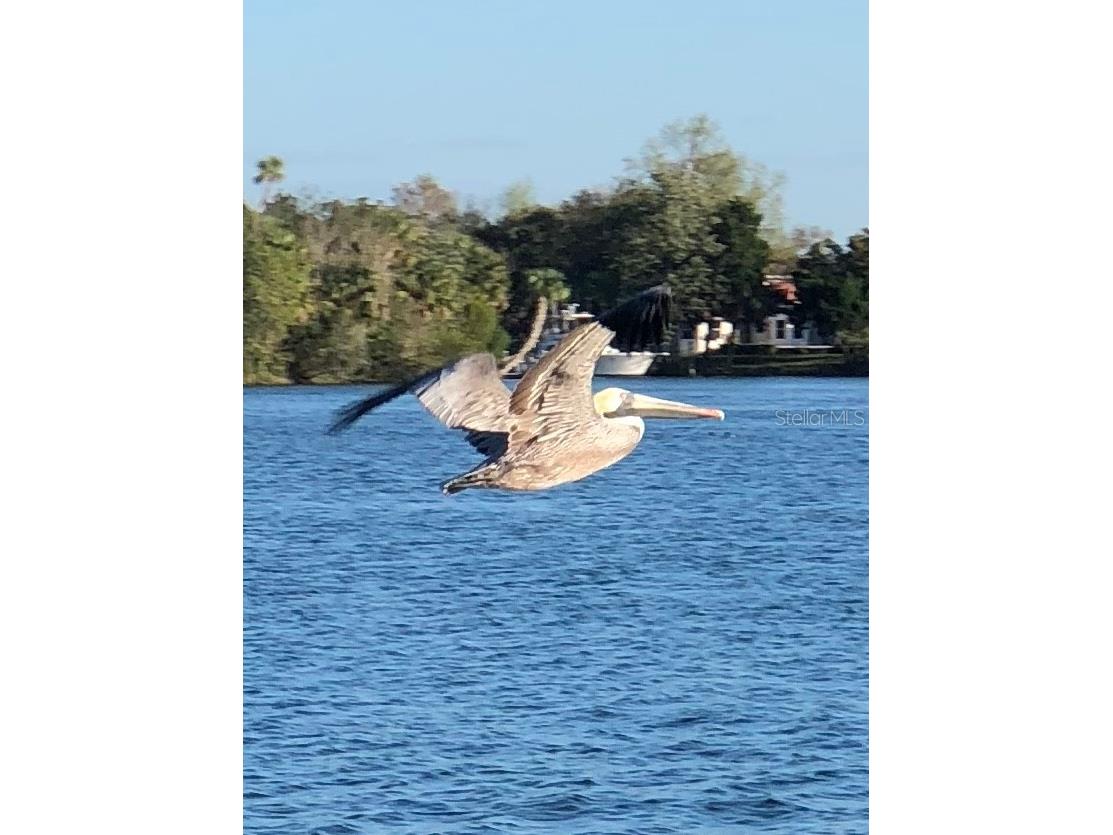 11025 W Harbor Watch Loop #31 Crystal River FL 34428 - INDIAN RIVER TB8527595 image47