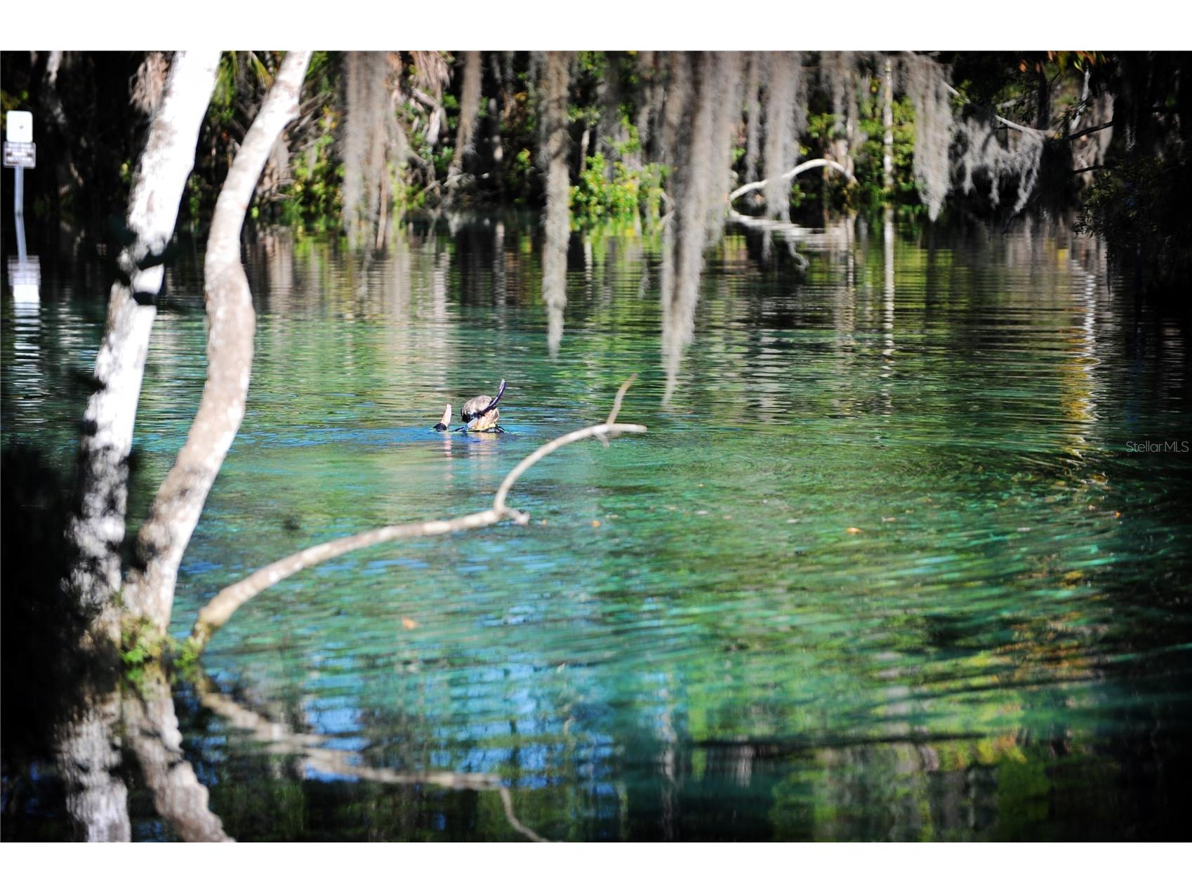 11025 W Harbor Watch Loop #31 Crystal River FL 34428 - INDIAN RIVER TB8527595 image51