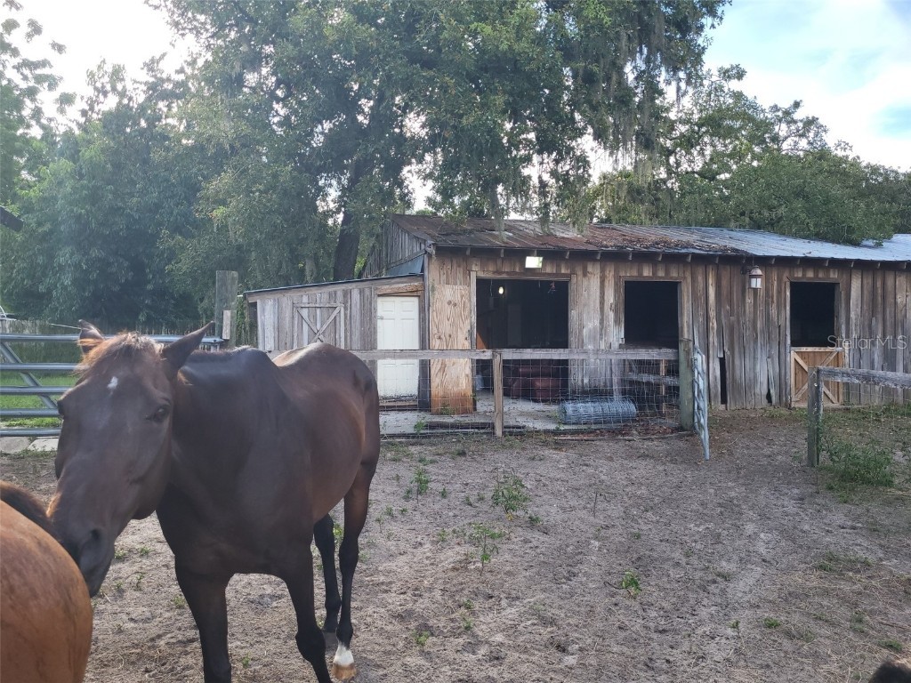 11025B Pinto Drive Hudson FL 34669 W7856226 image1