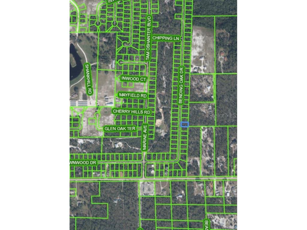 11026 Bending Oak Drive Sebring FL 33875 P4927496 image1