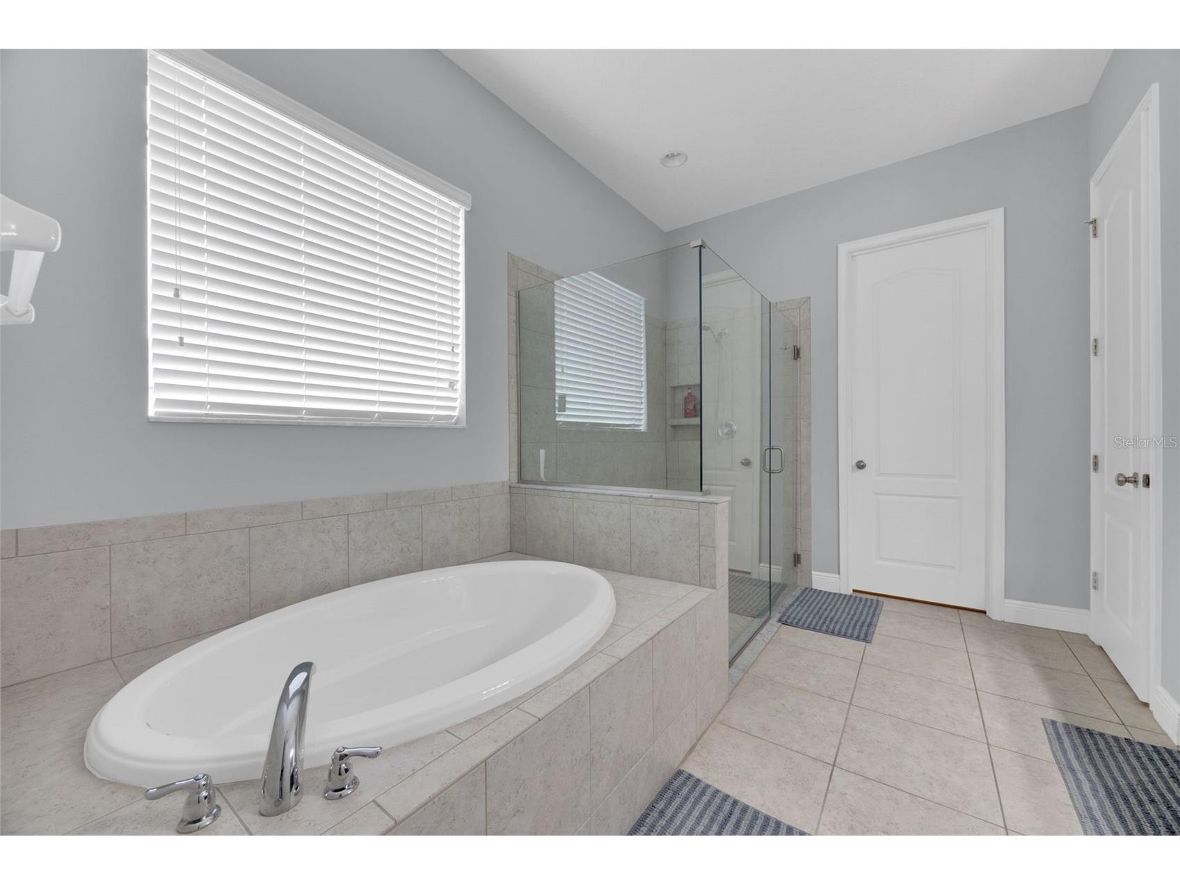 11026 Brahman Ranch Circle Riverview FL 33578 TB8515342 image18