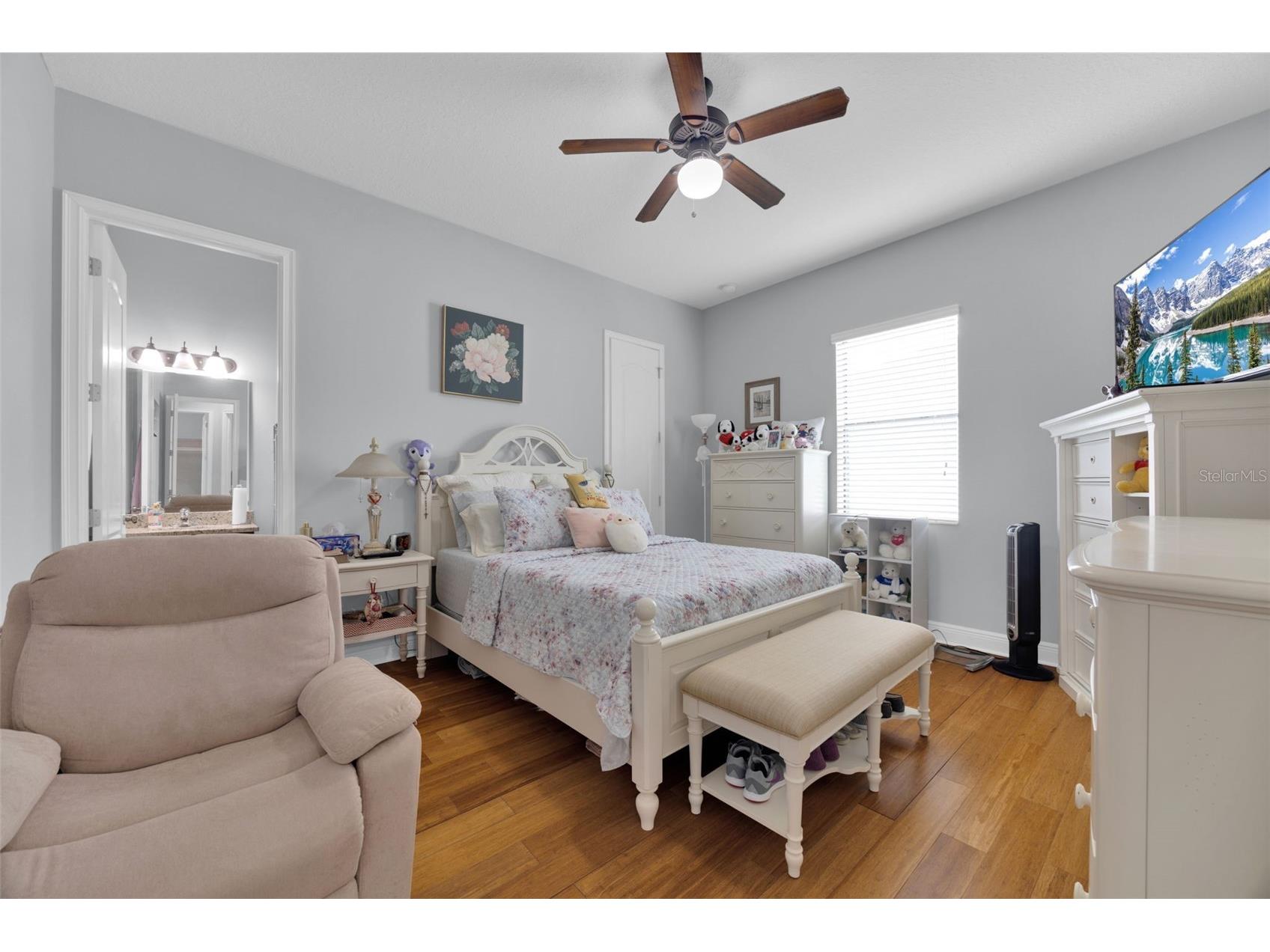 11026 Brahman Ranch Circle Riverview FL 33578 TB8515342 image25
