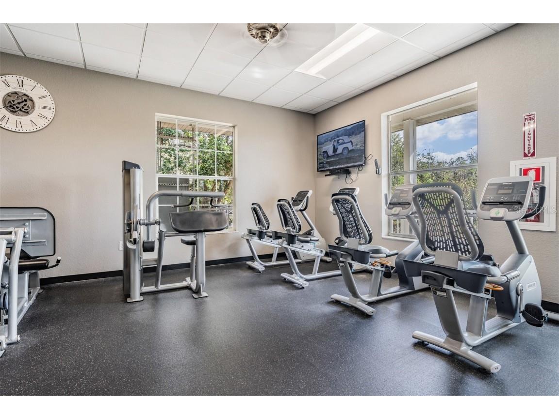 11027 Dormie Drive San Antonio FL 33576 TB8407847 image77