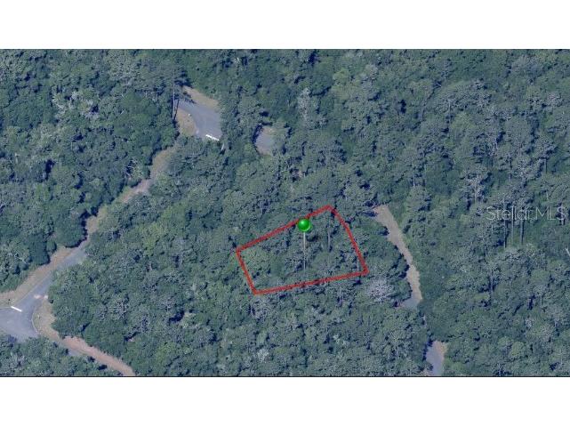 11027 N Edith Point Citrus Springs FL 34434 OM683816 image1