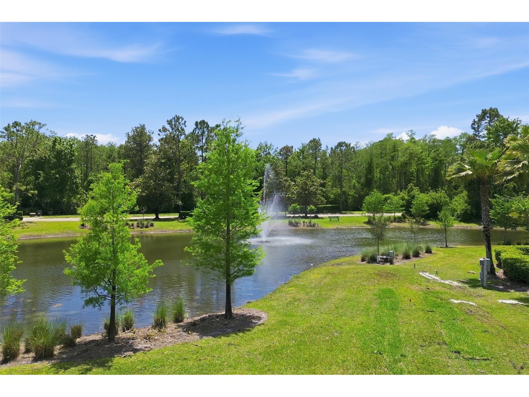 11027 Summerspring Lakes Drive Orlando FL 32825 O6413607 image46
