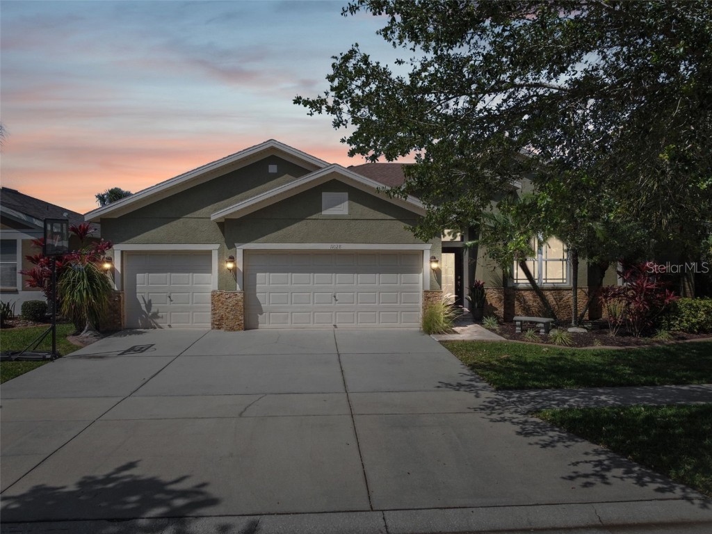 11028 Stone Branch Drive Riverview FL 33569 T3518854 image1