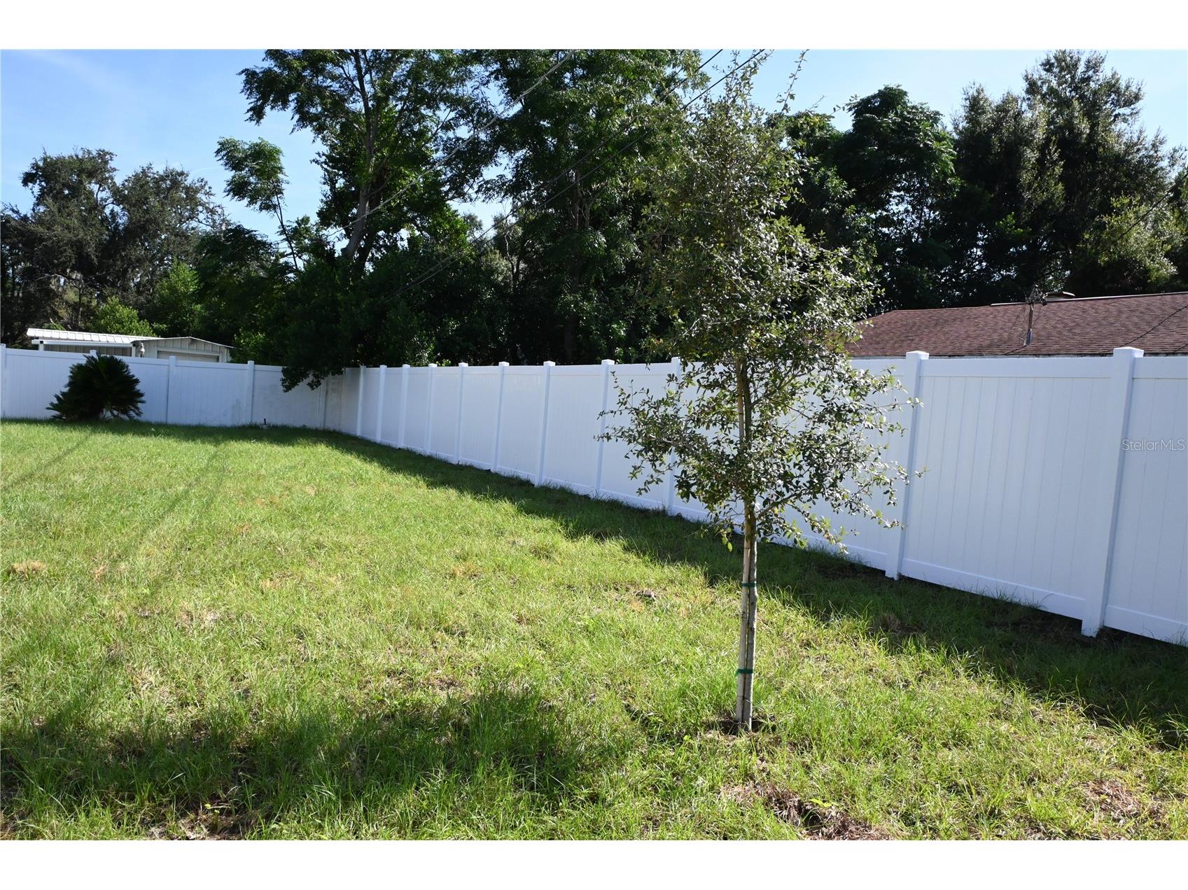 1103 Alpine Drive Brandon FL 33510 TB8532445 image25