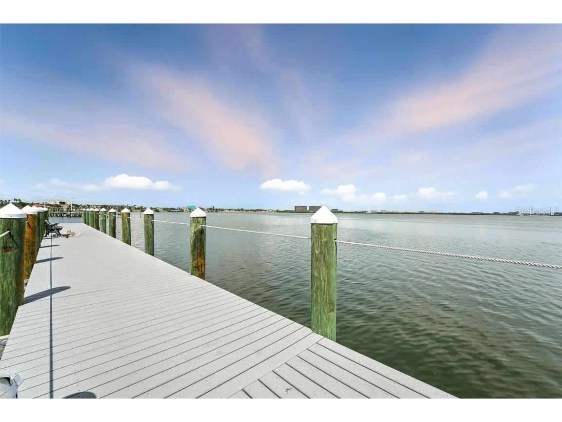 1103 Bay Club Circle #1103 Tampa FL 33607 TB8412628 image2