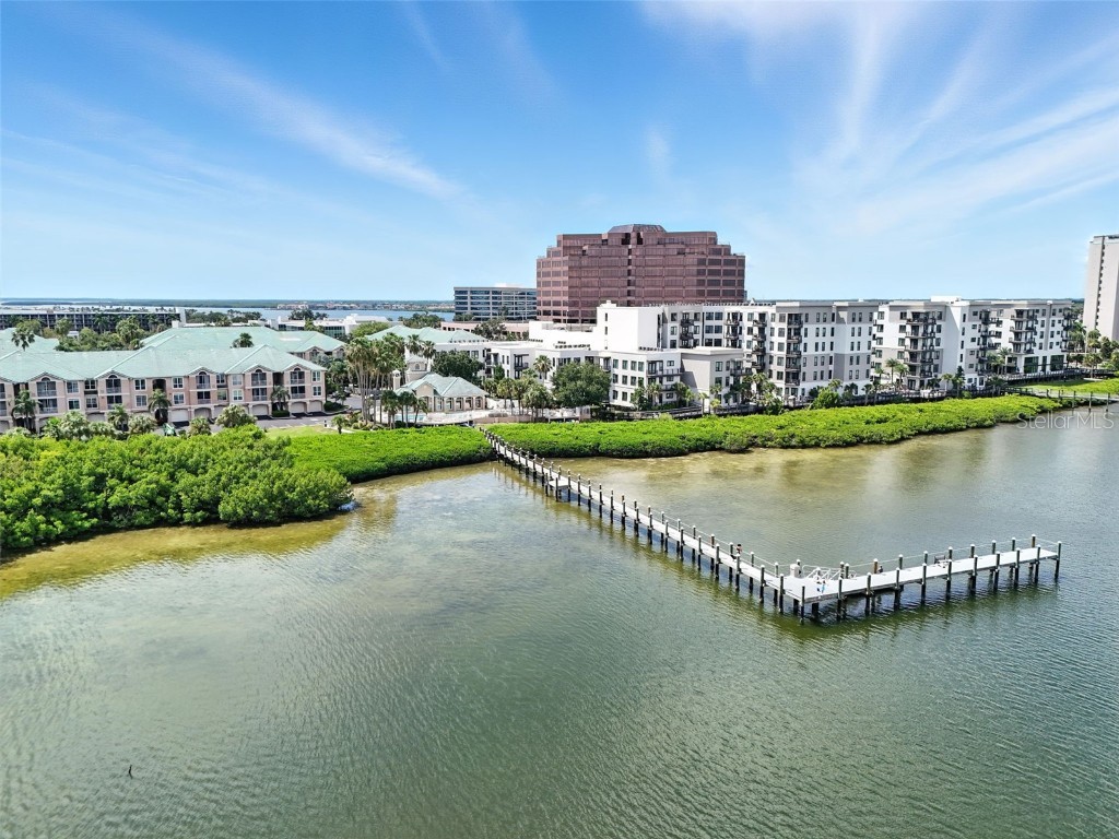 1103 Bay Club Circle #1103 Tampa FL 33607 TB8412628 image48