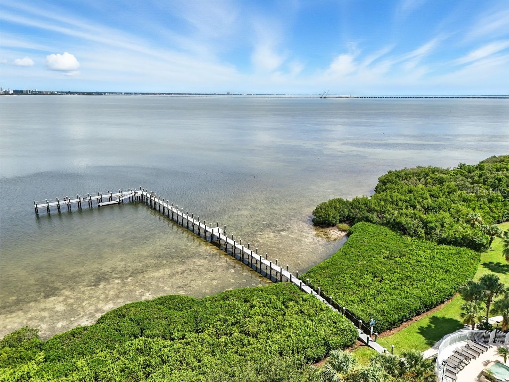 1103 Bay Club Circle #1103 Tampa FL 33607 TB8412628 image49