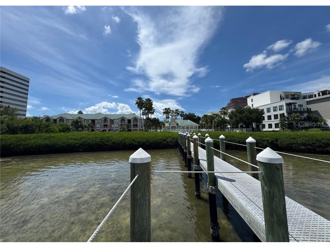 1103 Bay Club Circle #1103 Tampa FL 33607 TB8412628 image57