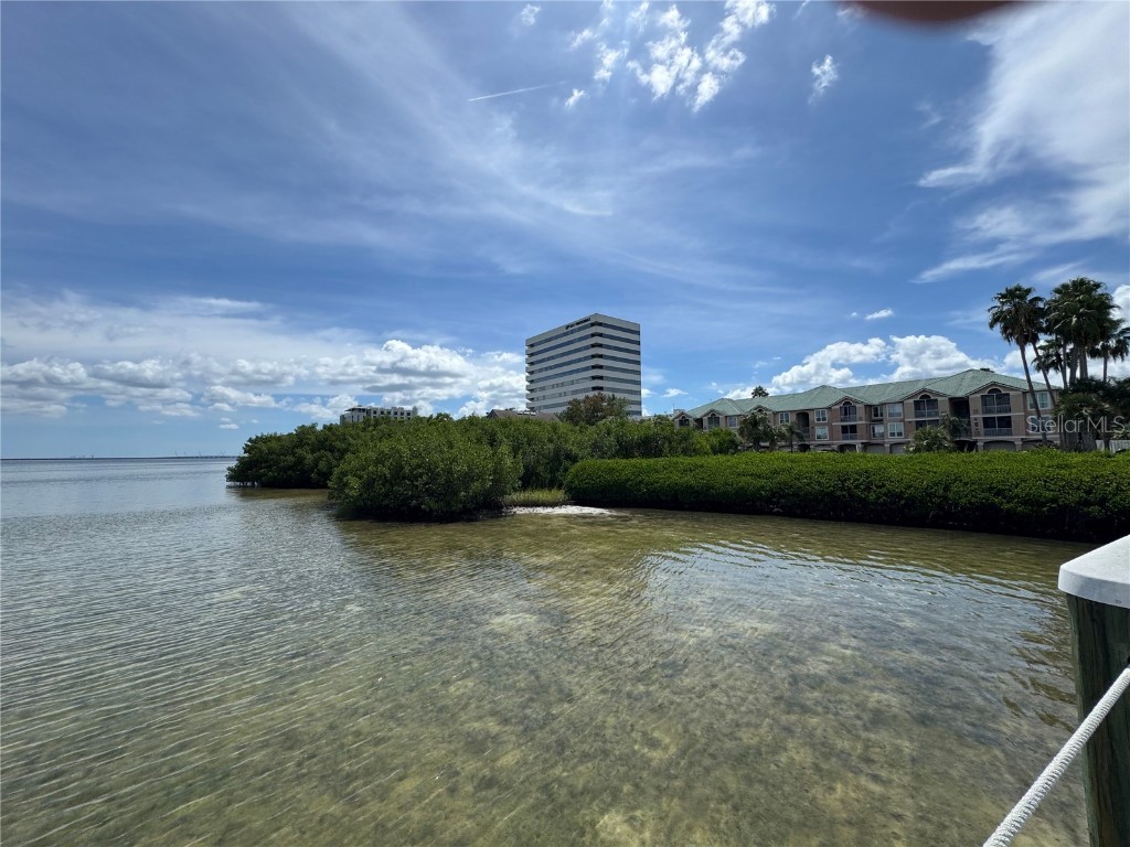 1103 Bay Club Circle #1103 Tampa FL 33607 TB8412628 image58
