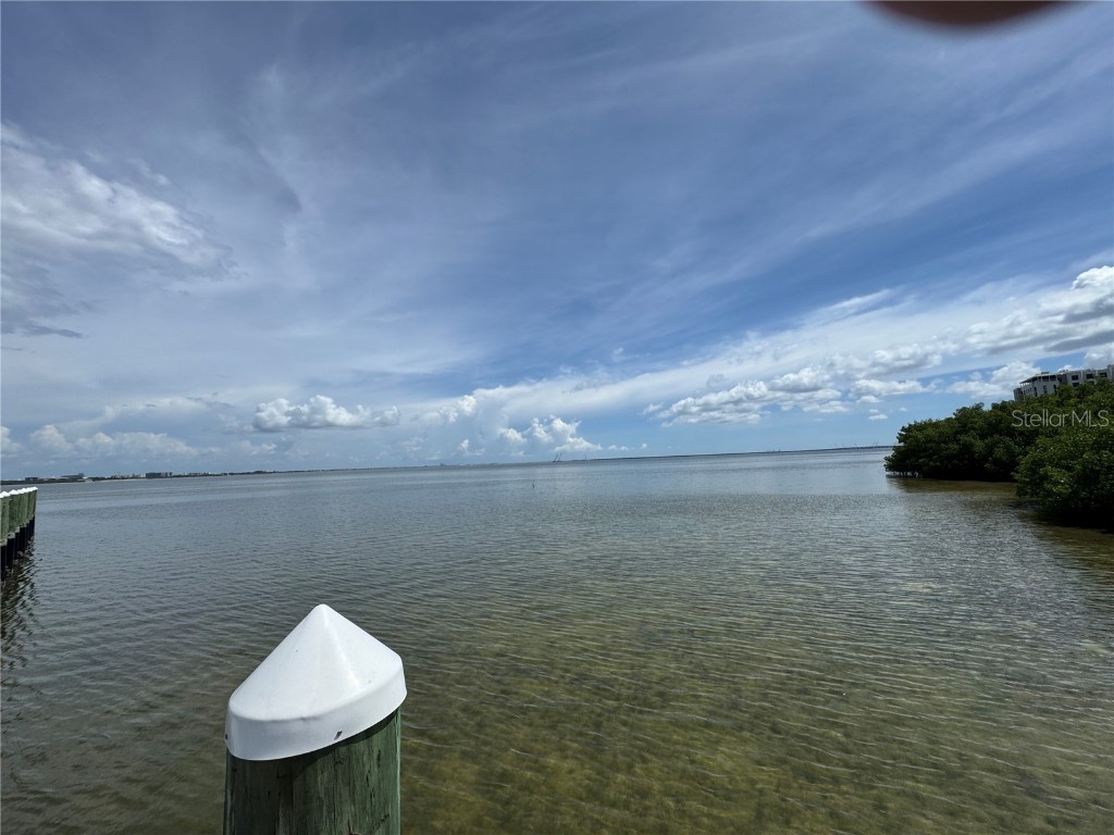 1103 Bay Club Circle #1103 Tampa FL 33607 TB8412628 image59