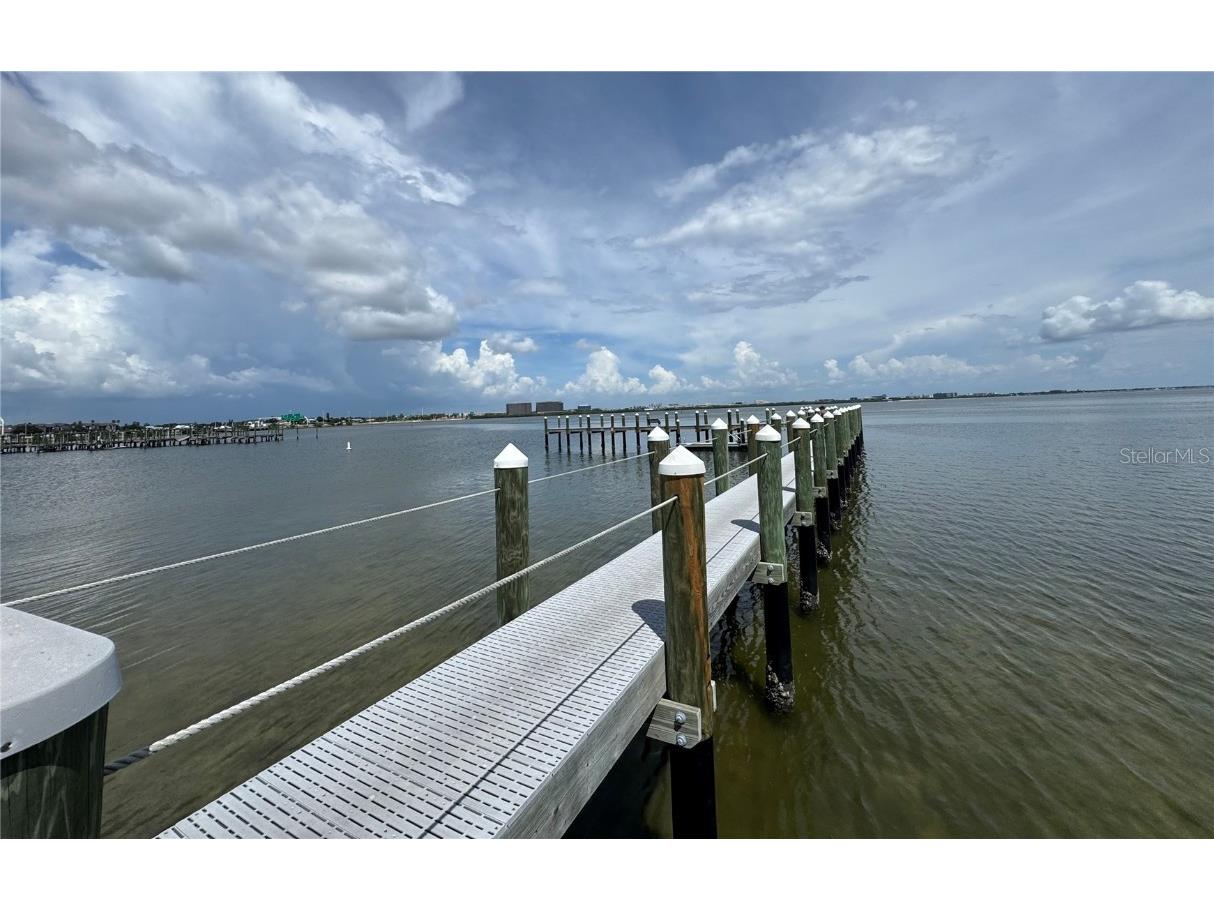 1103 Bay Club Circle #1103 Tampa FL 33607 TB8412628 image60