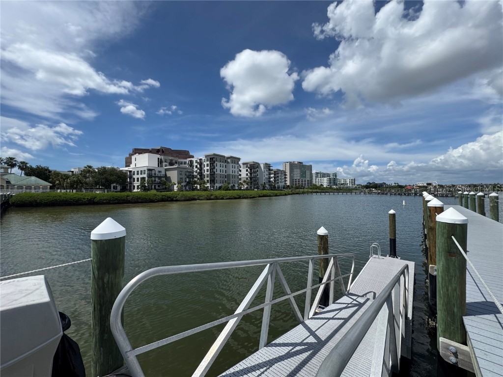 1103 Bay Club Circle #1103 Tampa FL 33607 TB8412628 image61