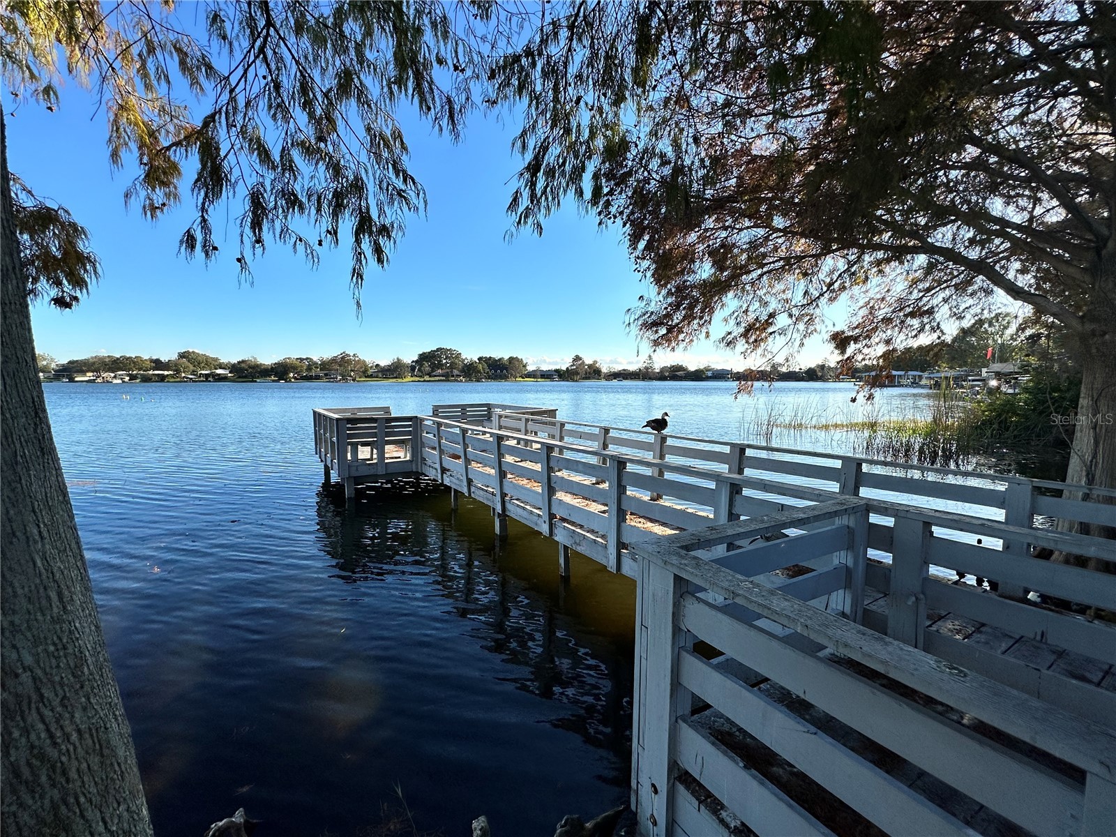 1103 Cypress Gardens Boulevard #51 Winter Haven FL 33884 O6422112 image19