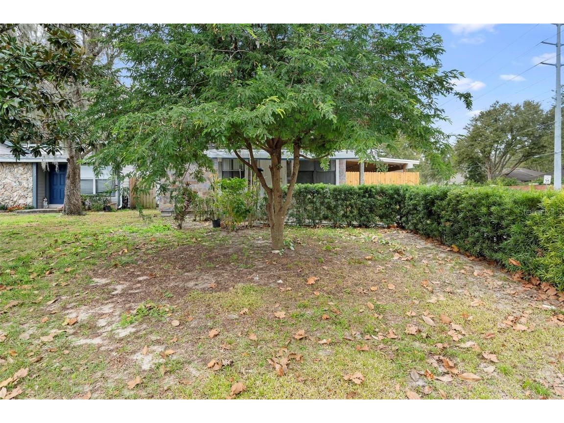 1103 Errol Place Circle Apopka FL 32712 O6353284 image29