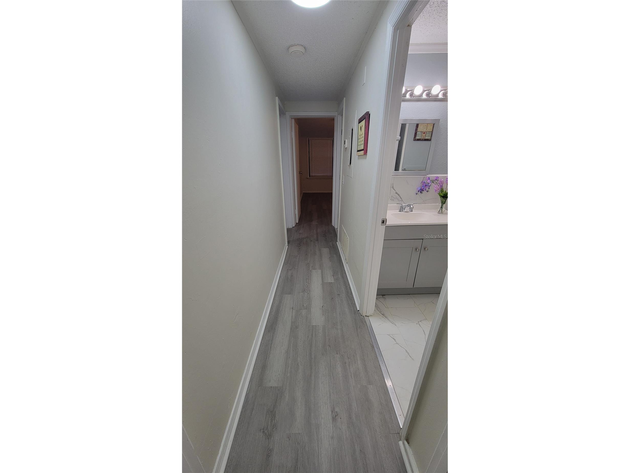 1103 Errol Place Circle Apopka FL 32712 O6412581 image22