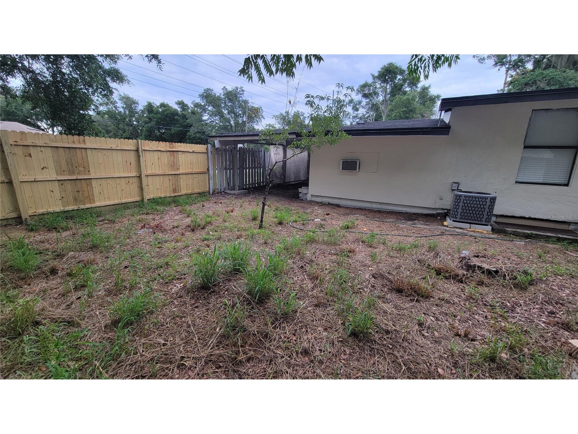 1103 Errol Place Circle Apopka FL 32712 O6412581 image41