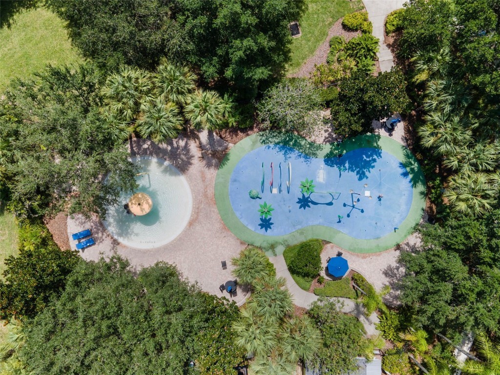 1103 Gran Bahama Boulevard Davenport FL 33897 S5139916 image41