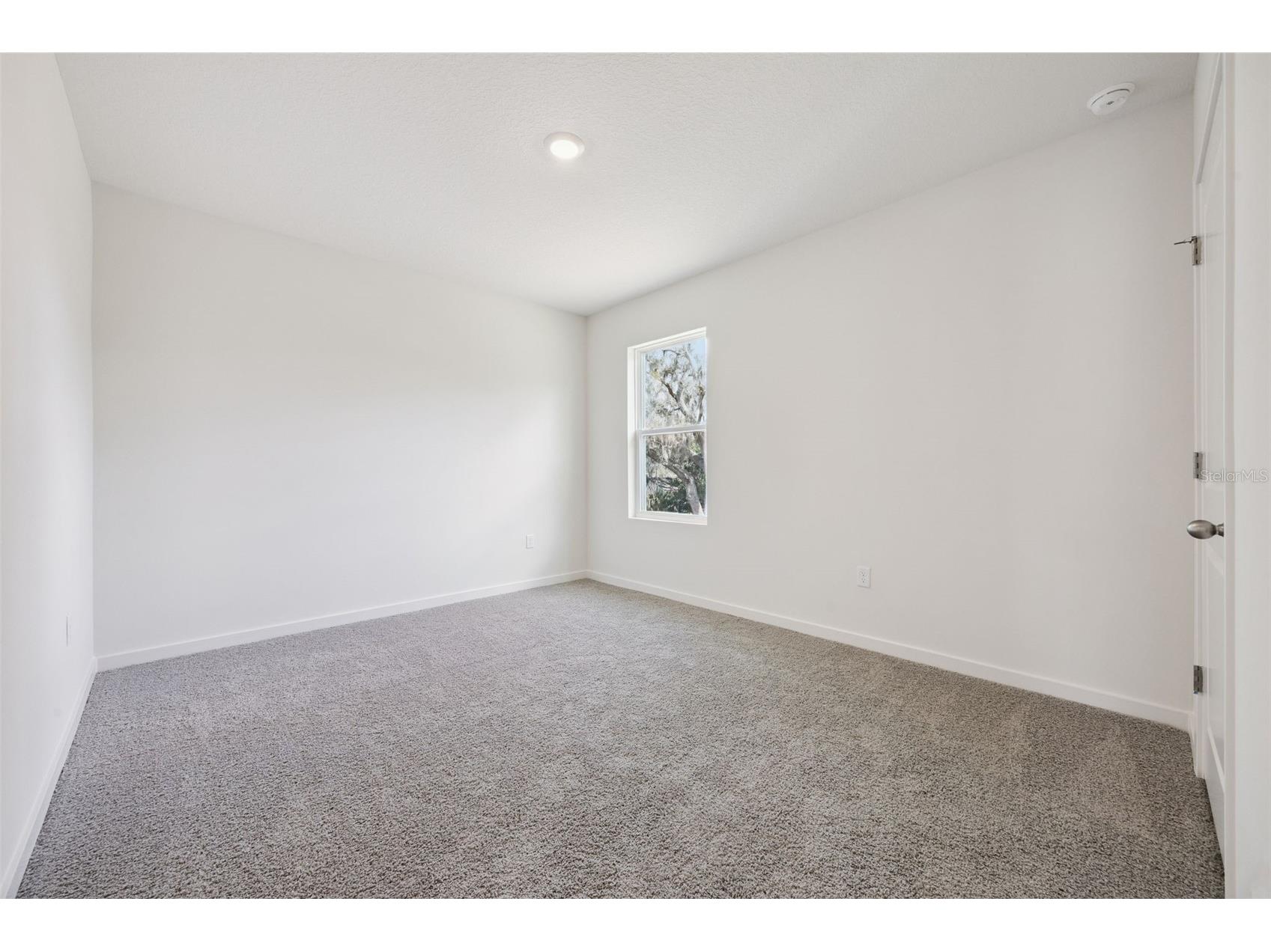 1103 Gull Drive Apopka FL 32703 O6422977 image22