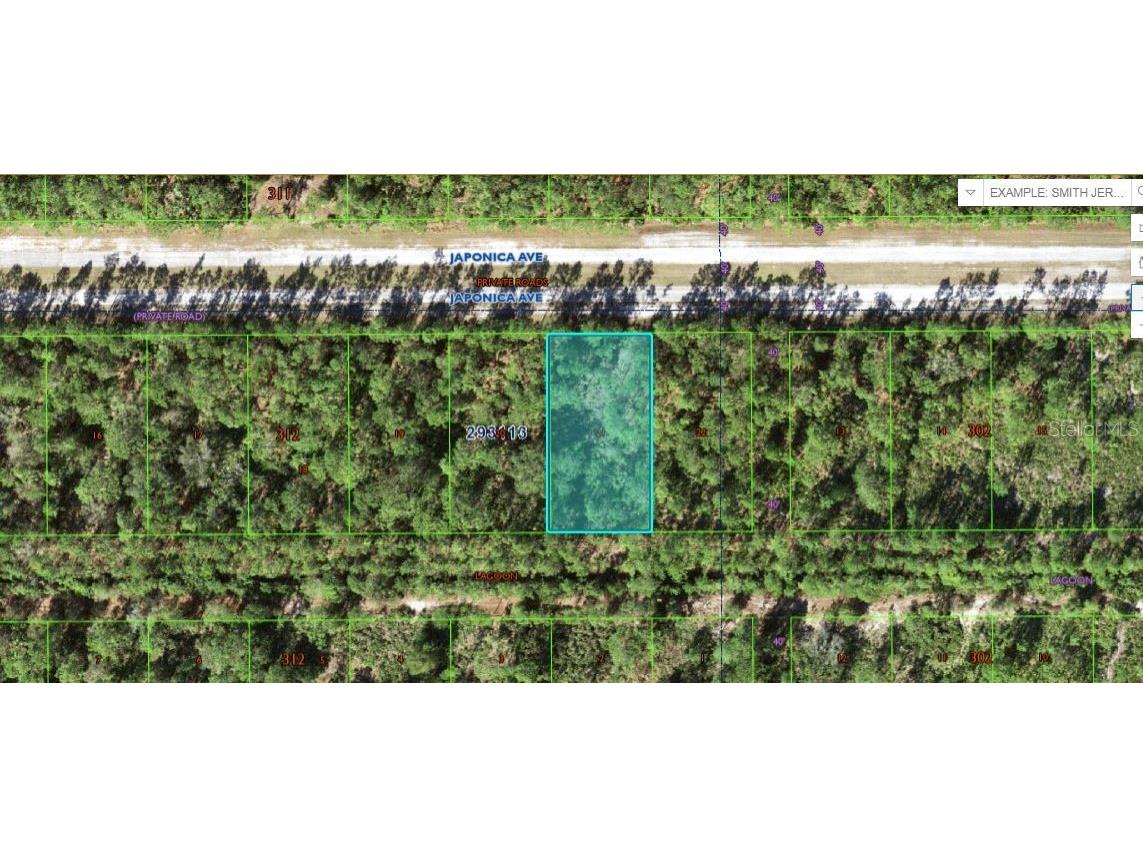 1103 Japonica Avenue Indian Lake Estates FL 33855 O6229107 image1