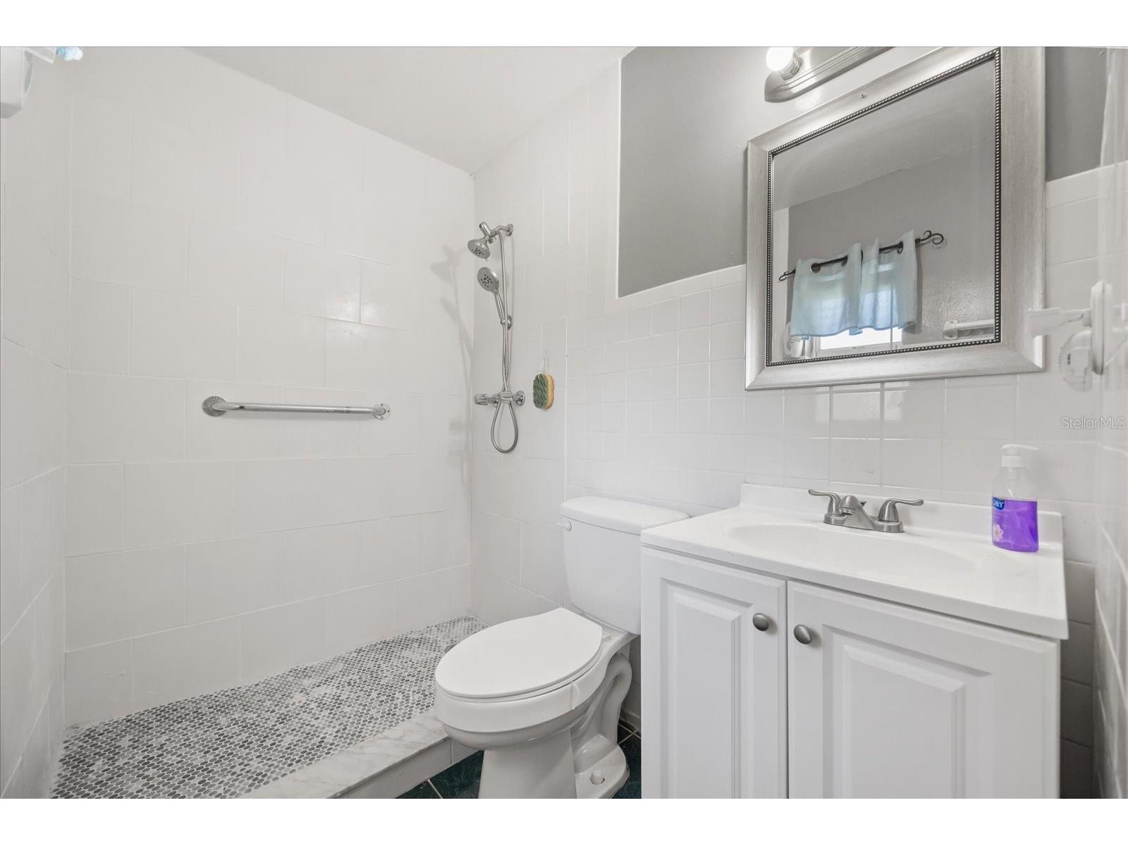 1103 Marygon Street Kissimmee FL 34744 O6394276 image11