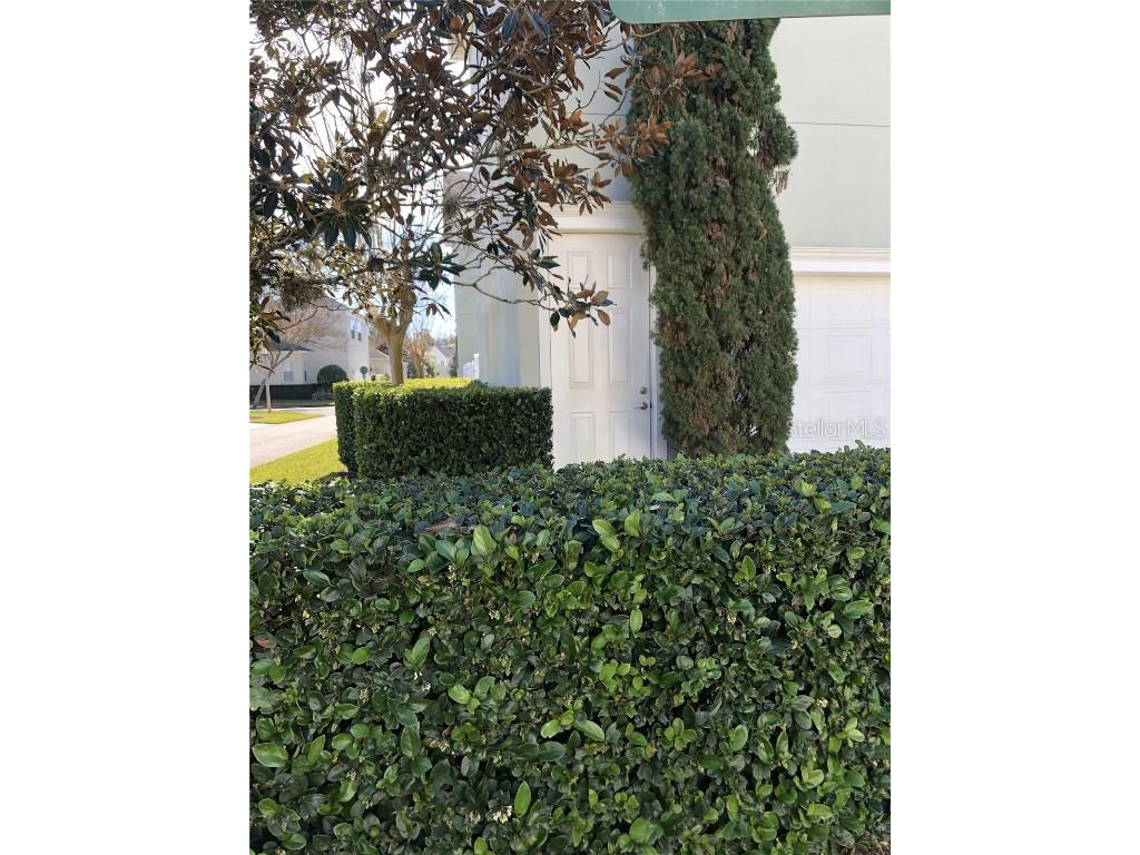 1103 Mosaic Drive #B Celebration FL 34747 O6179652 image1