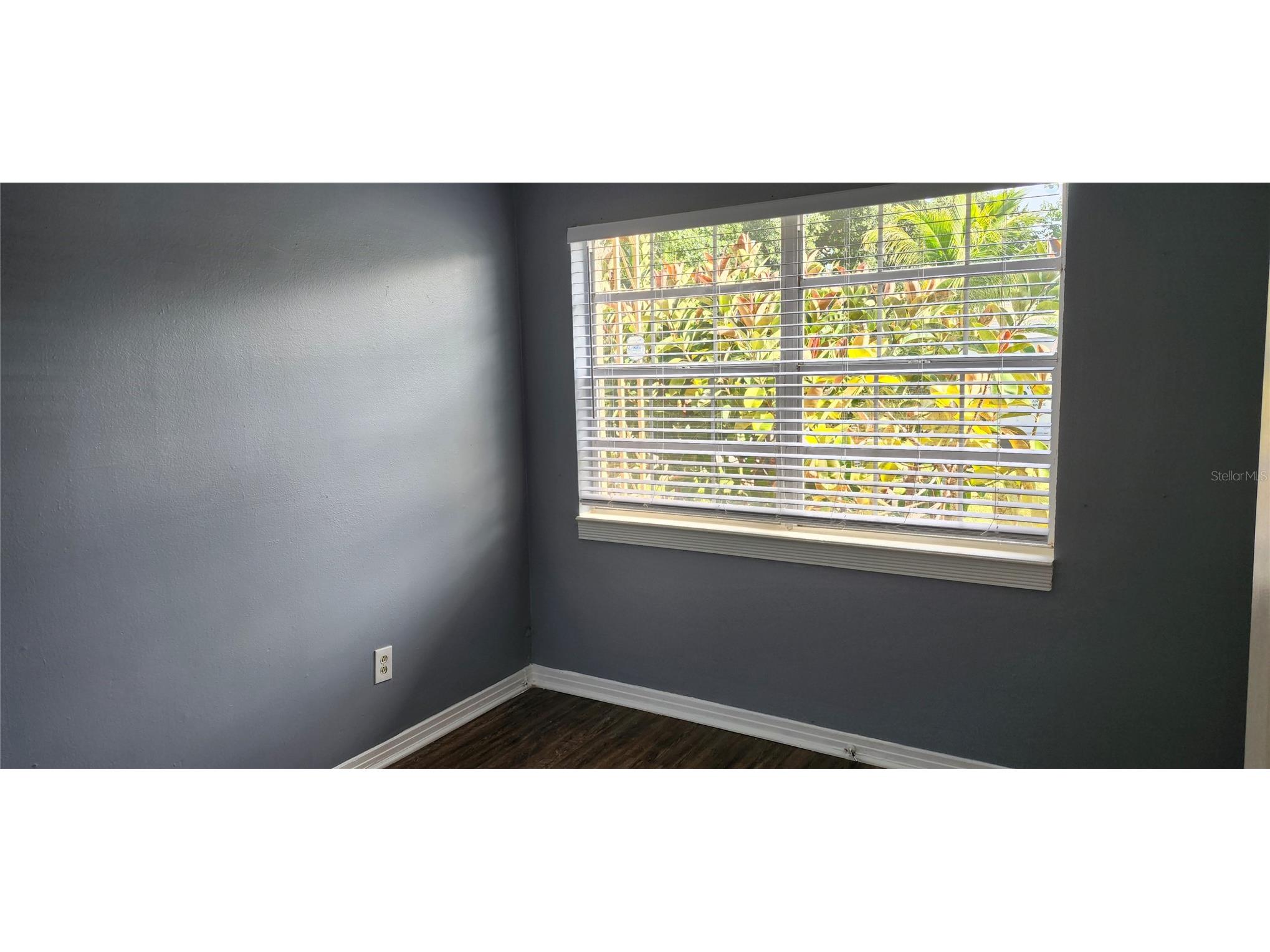1103 Southside Drive Brandon FL 33511 TB8510195 image10