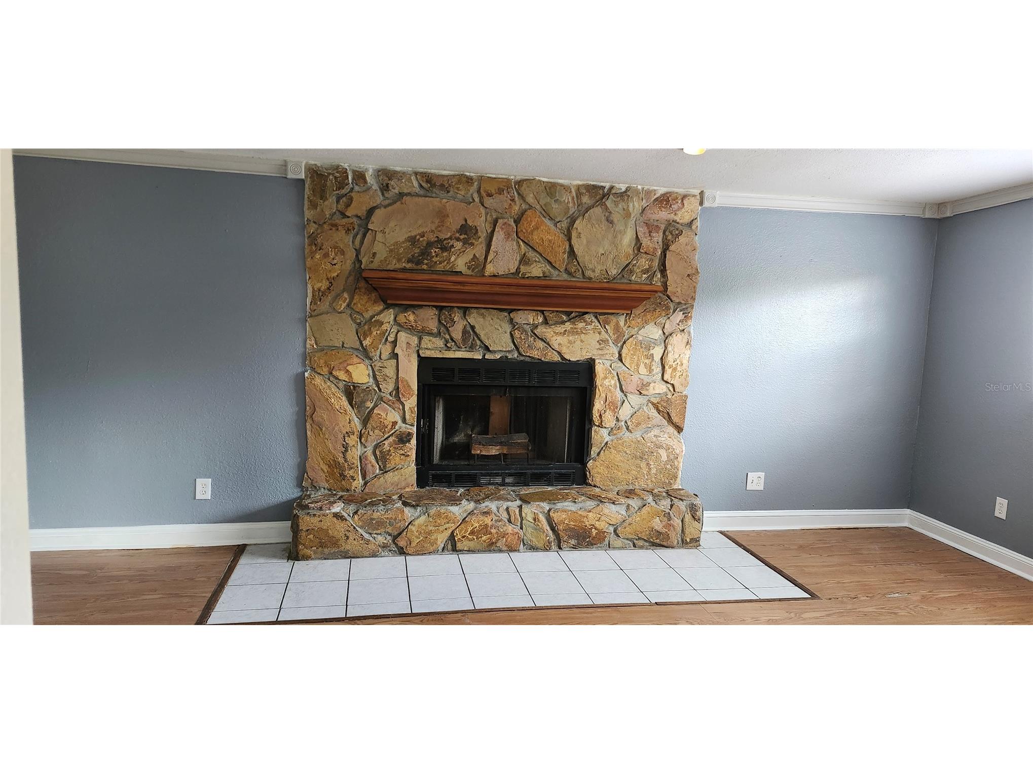 1103 Southside Drive Brandon FL 33511 TB8510195 image4