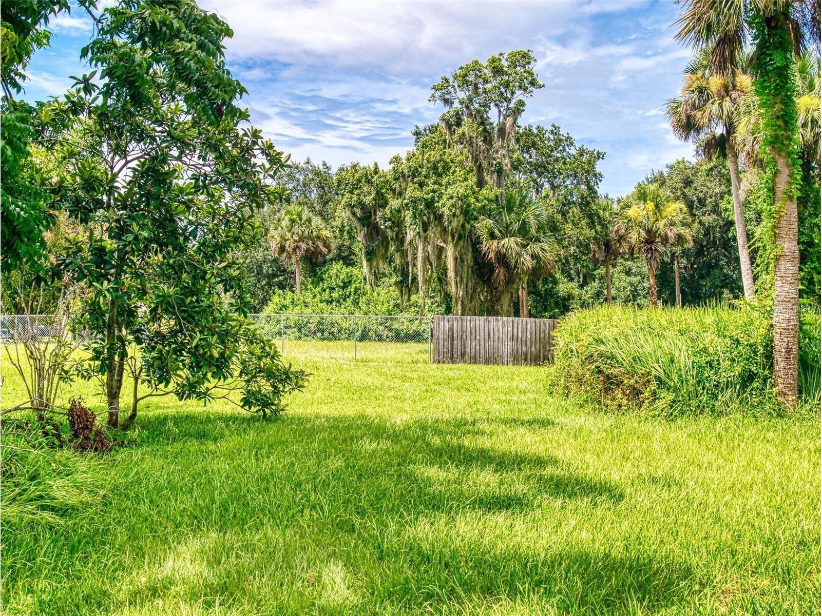 1103 Washington Street New Smyrna Beach FL 32168 NS1088076 image58