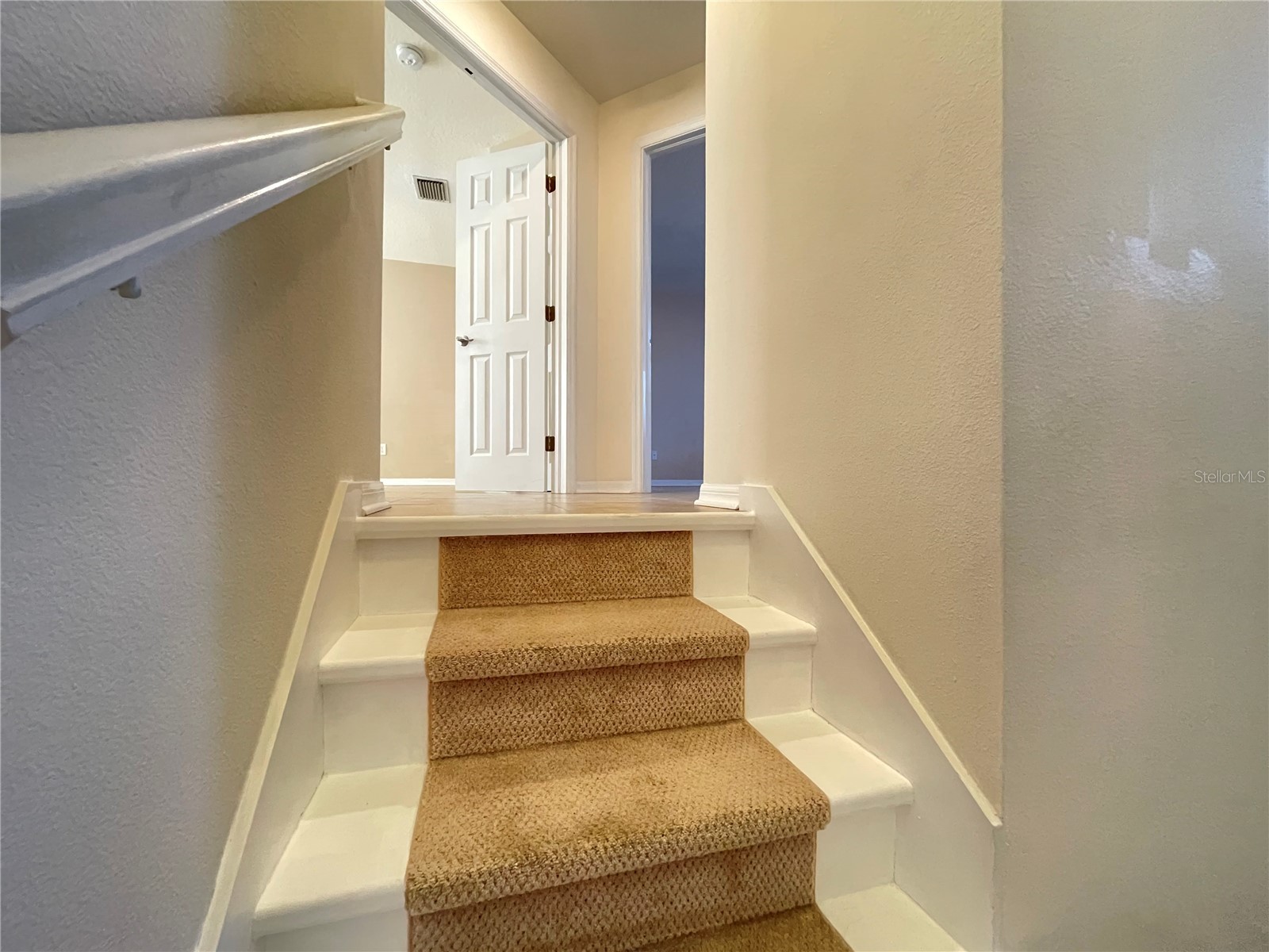 11030 Blaine Top Place Tampa FL 33626 TB8464048 image19