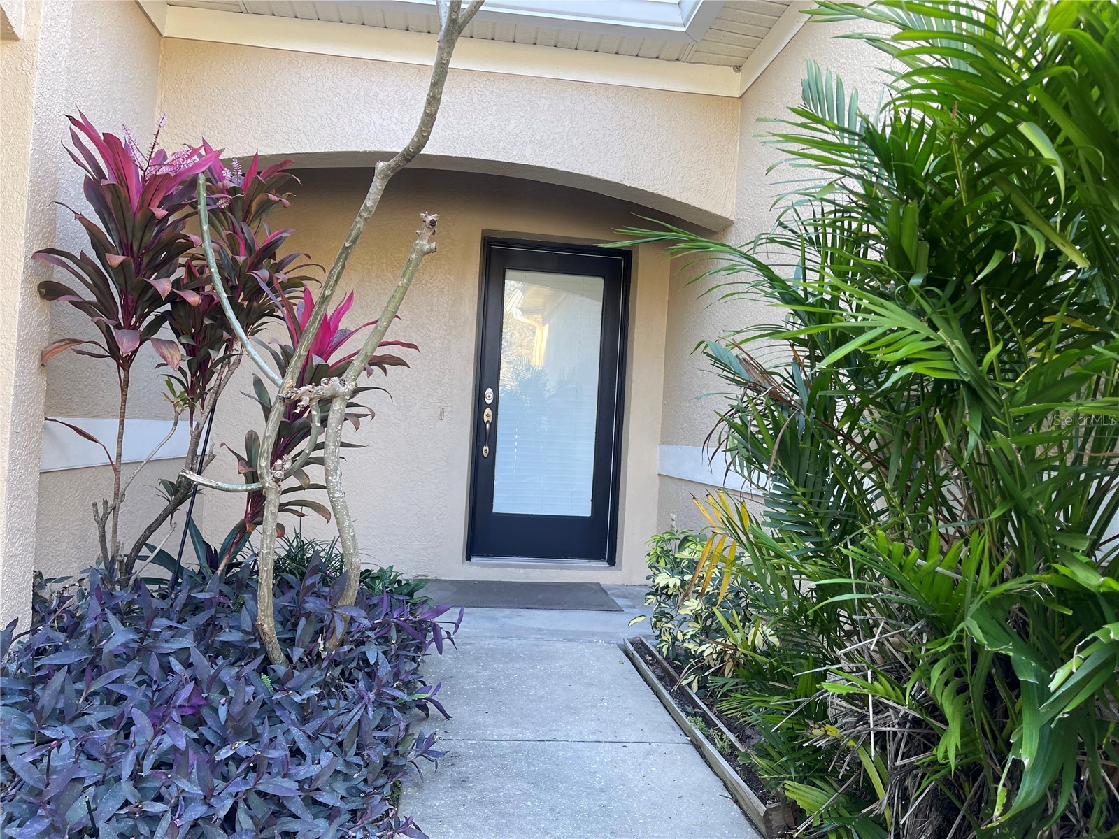 11030 Blaine Top Place Tampa FL 33626 TB8464048 image3