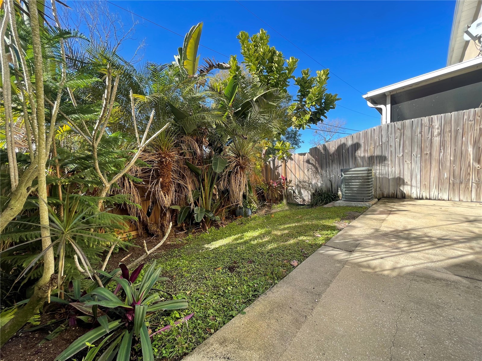 11030 Blaine Top Place Tampa FL 33626 TB8464048 image32