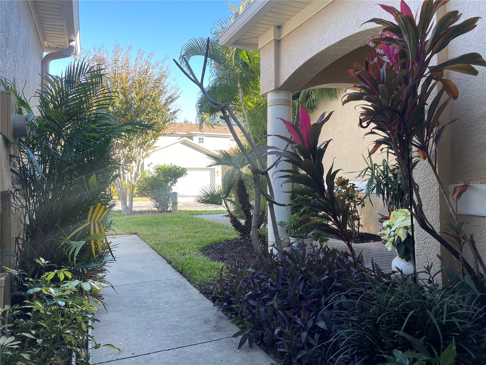 11030 Blaine Top Place Tampa FL 33626 TB8464048 image33