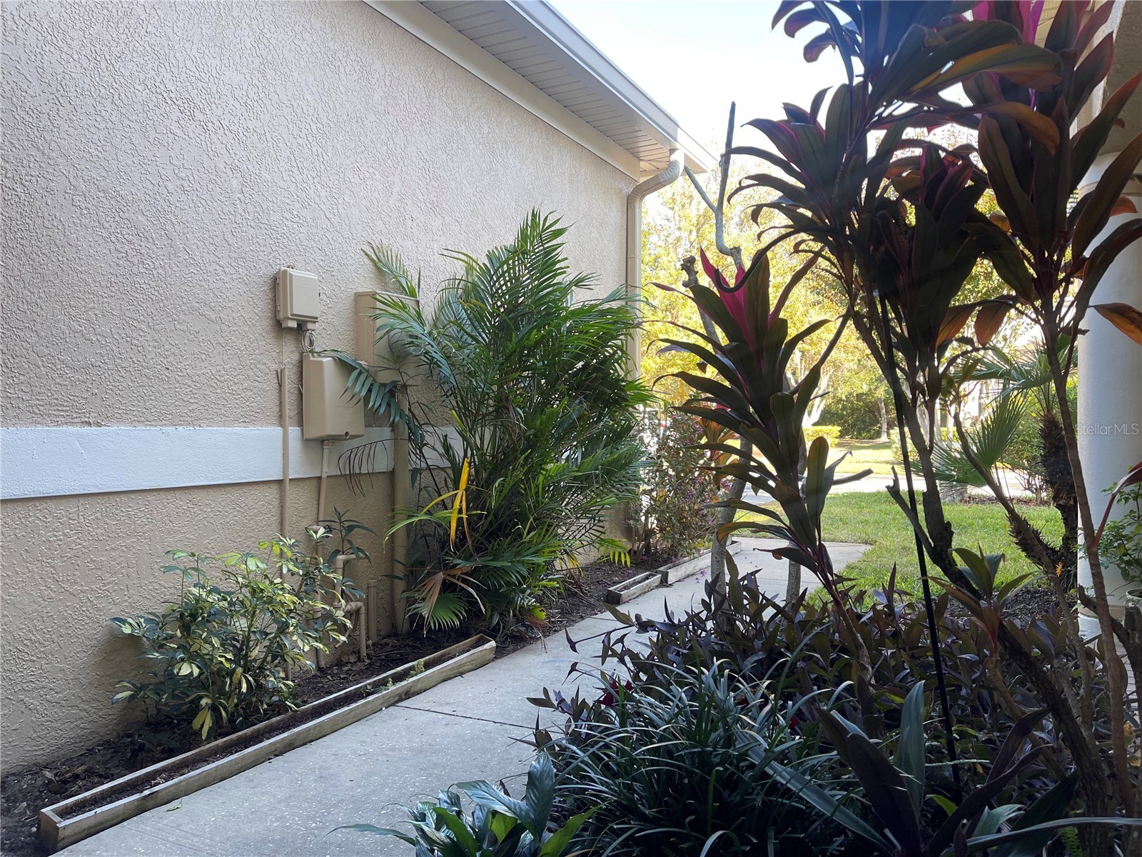 11030 Blaine Top Place Tampa FL 33626 TB8464048 image34