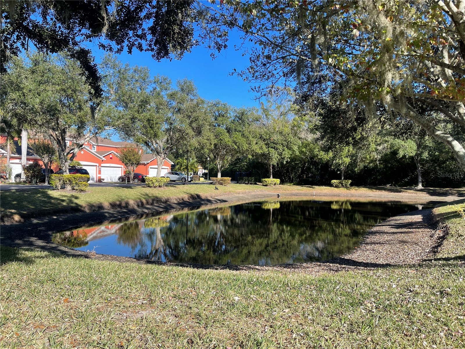 11030 Blaine Top Place Tampa FL 33626 TB8464048 image35