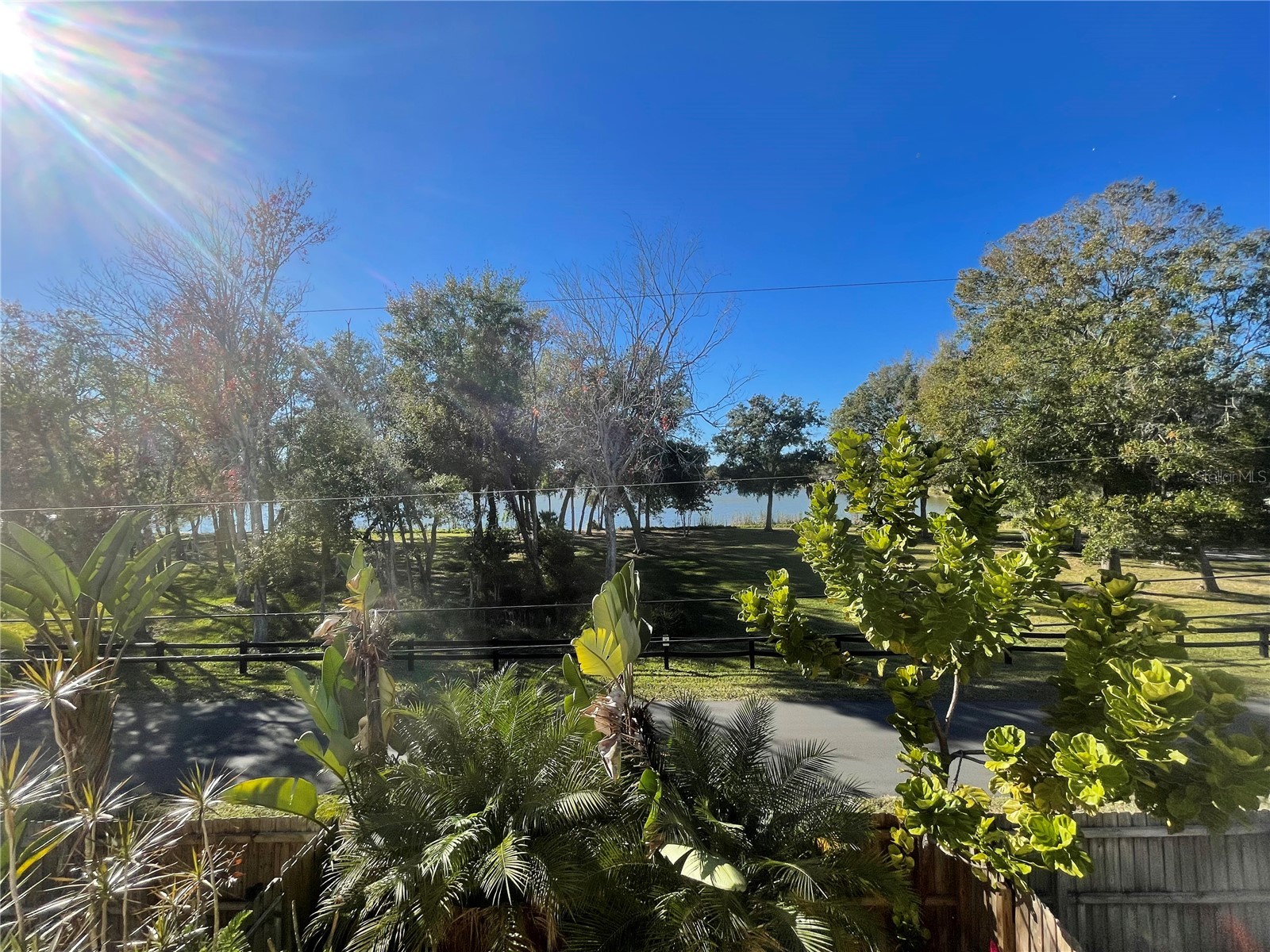 11030 Blaine Top Place Tampa FL 33626 TB8464048 image36