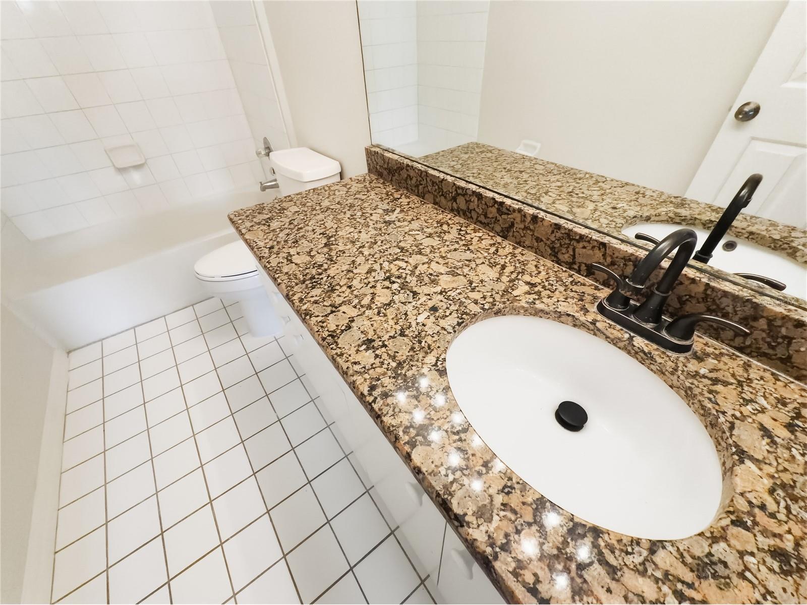 11030 Holly Cone Drive Riverview FL 33569 O6375683 image26