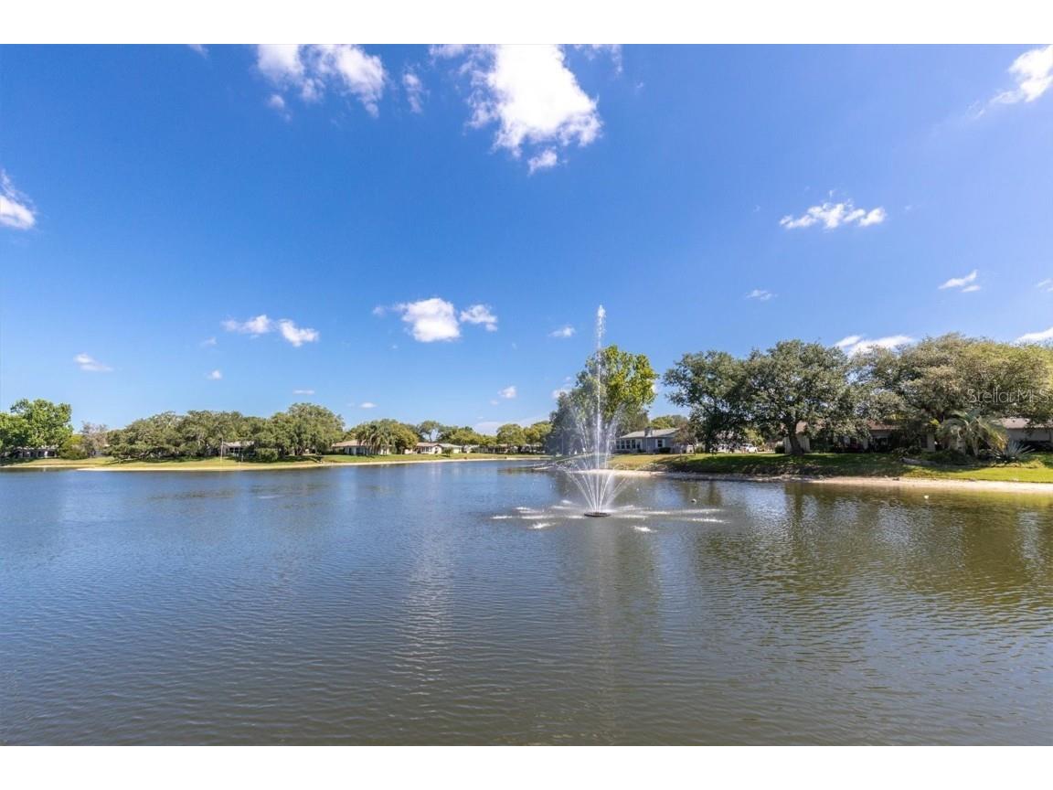 11030 Linkside Drive #11030 Port Richey FL 34668 W7879263 image40