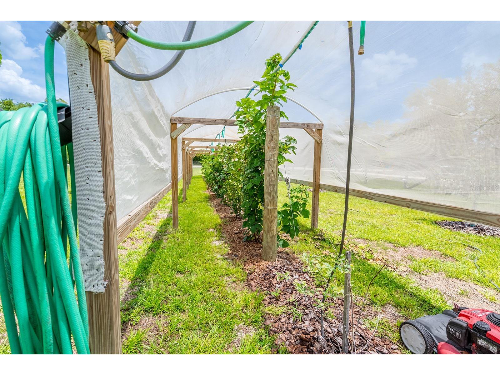 11030 NW 100th Avenue Chiefland FL 32626 GC540675 image34