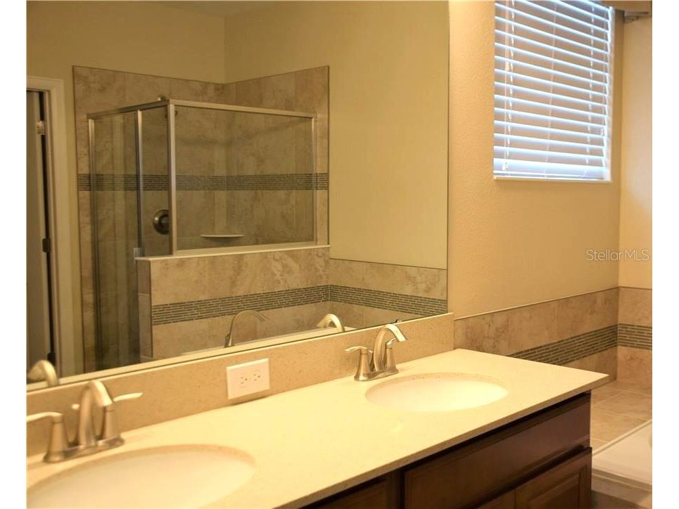 11030 Whistling Pine Way Orlando FL 32832 O6391260 image13