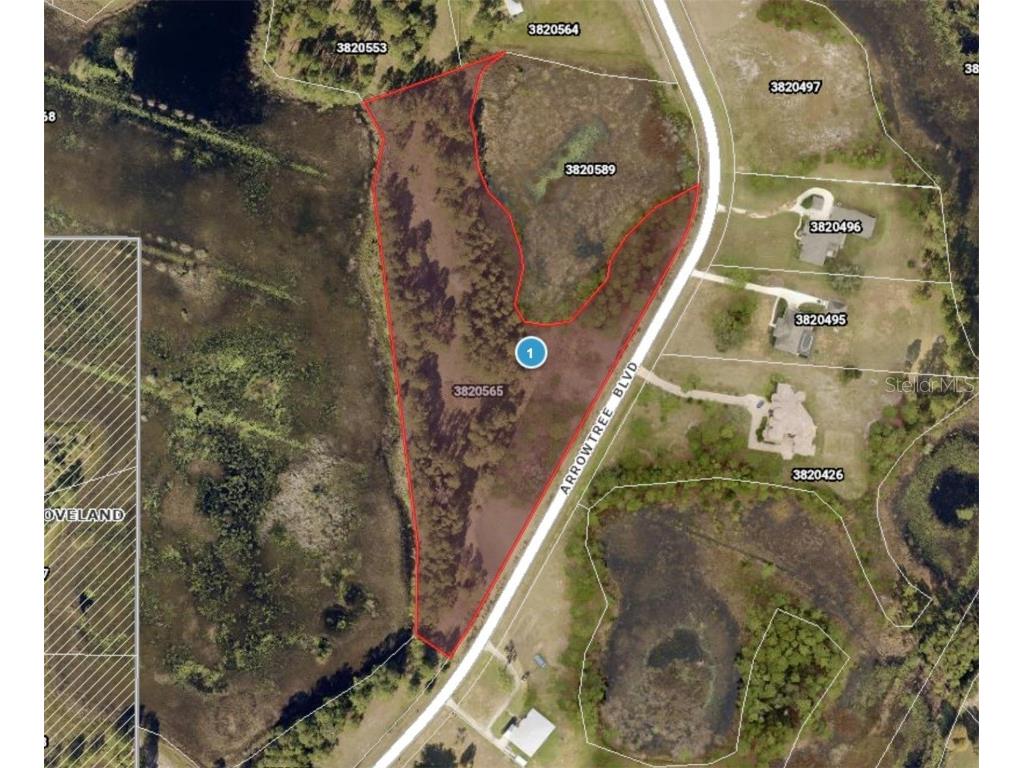 11031 Arrowtree Boulevard Clermont FL 34715 O6367440 image1