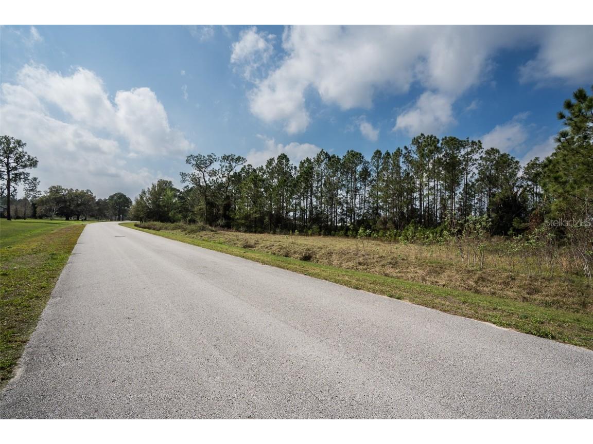 11031 Arrowtree Boulevard Clermont FL 34715 O6367440 image10